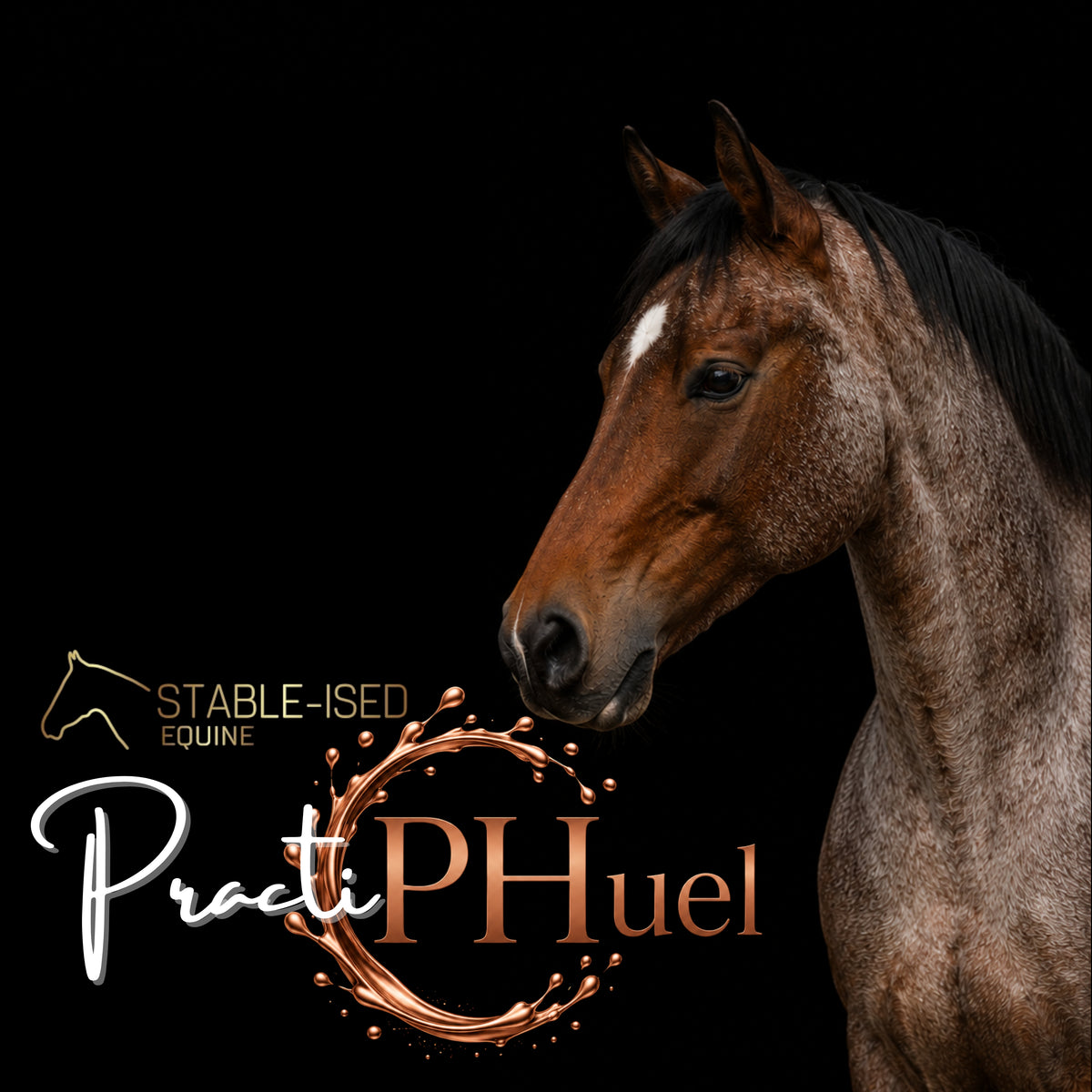 PractiPHuel