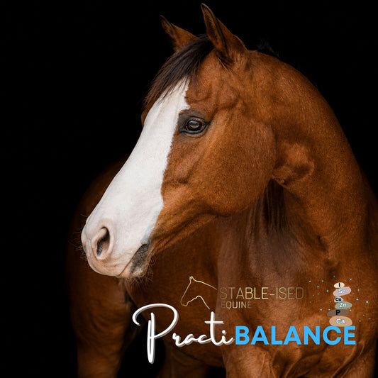 PractiBALANCE
