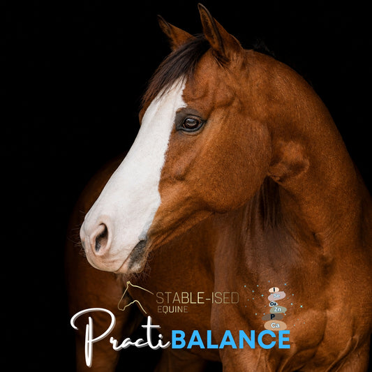 PractiBALANCE