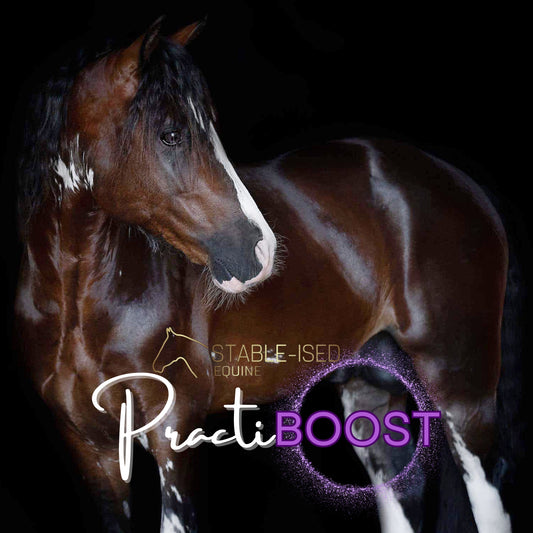 PractiBOOST