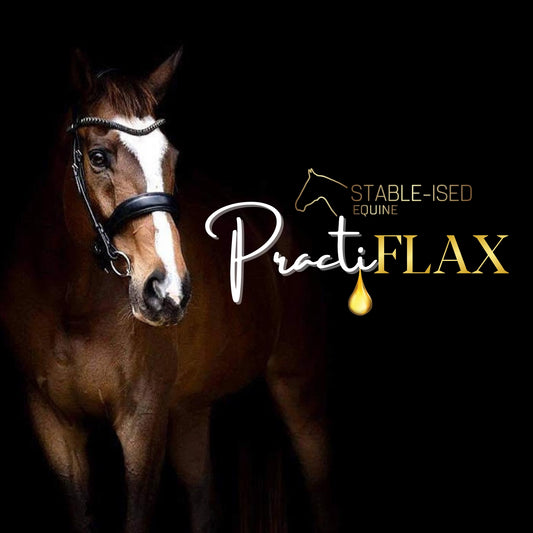 PractiFLAX
